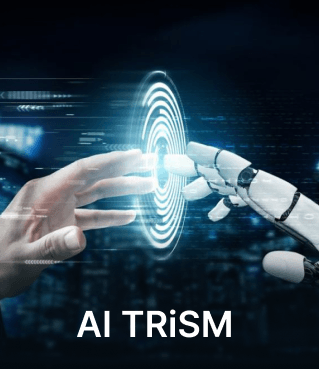 AI TRiSM: Challenges and its Framework for Businesses