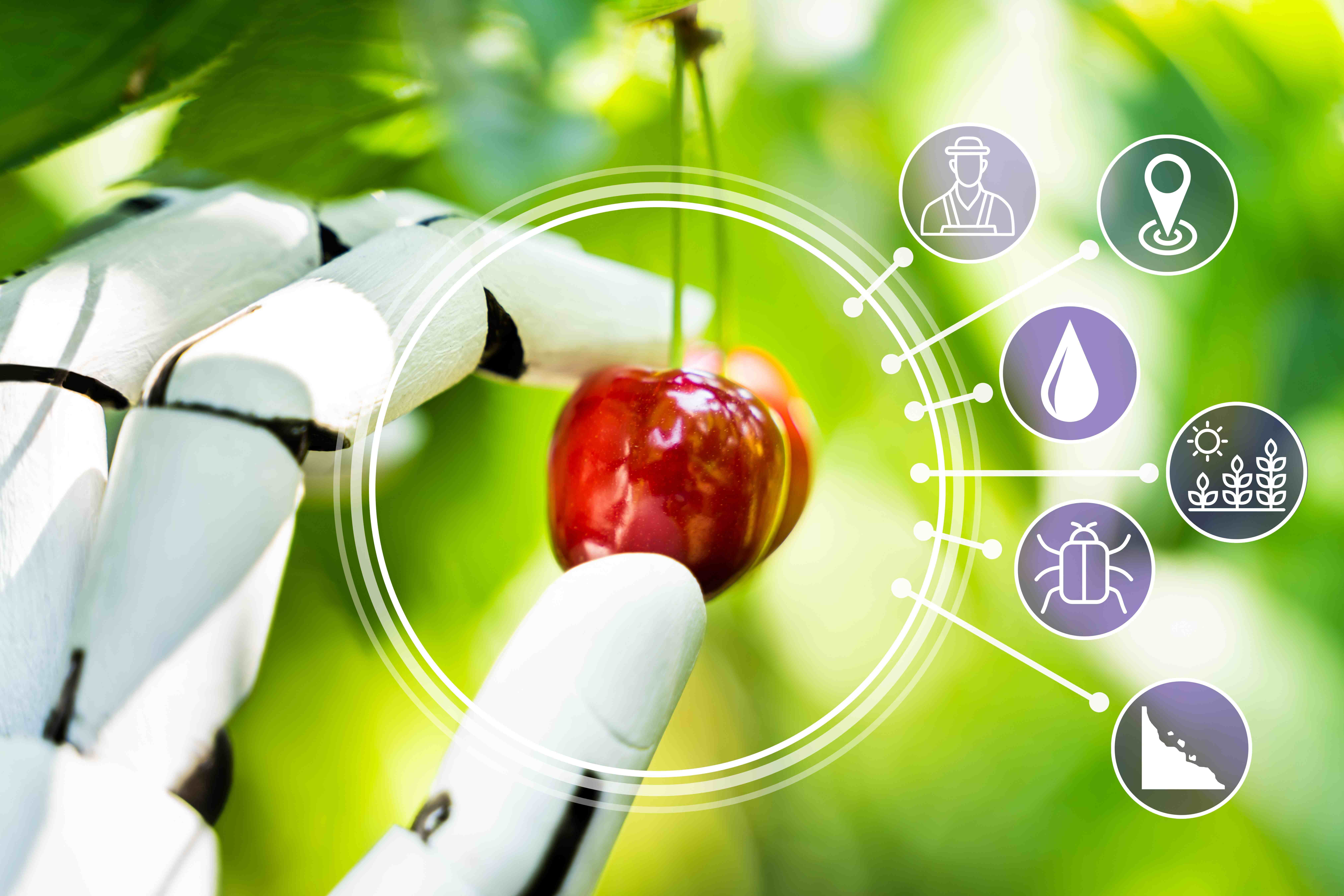 Advanced Robotics for Automations